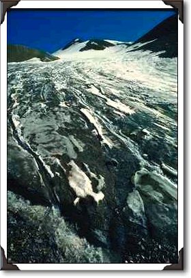Burwash Glacier - Kluane Park, Yukon