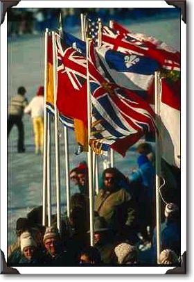 Colourful winter flags