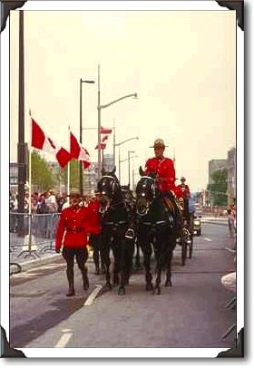 Mounties and horses