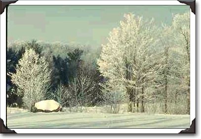 Winter scene with frosted trees near Georgeville, Quebec