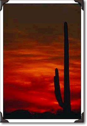 Sunset, Tucson Mountain Park, Alberta