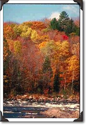 Autumn foliage near Rouge River, Quebec