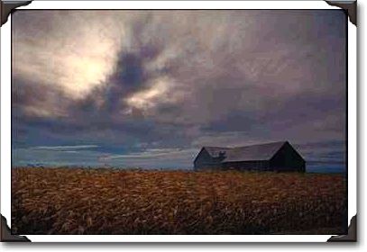 Cornfield, barn and clouds, Quebec