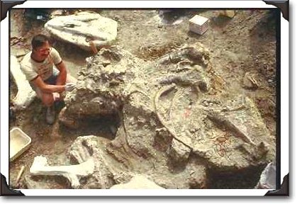 Dinosaur excavation, Badlands, Alberta