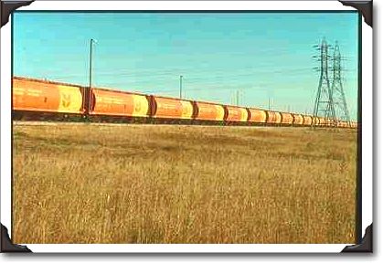 CN train and federal grain cars, Saskatchewan