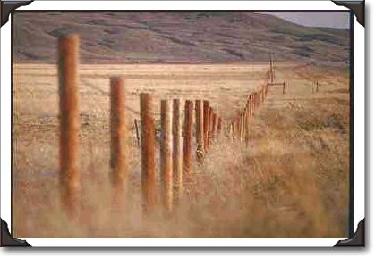Rural fencepost near Weyburn, Saskatchewan