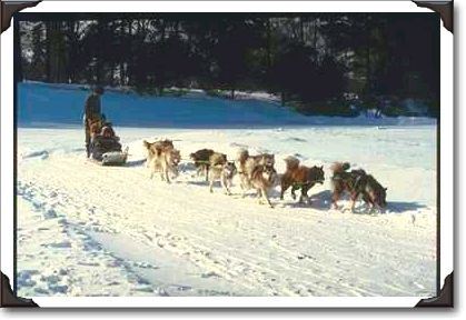 Dog sled on Anticosti Island, Quebec