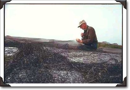Cape Breton fisherman mending net, Nova Scotia
