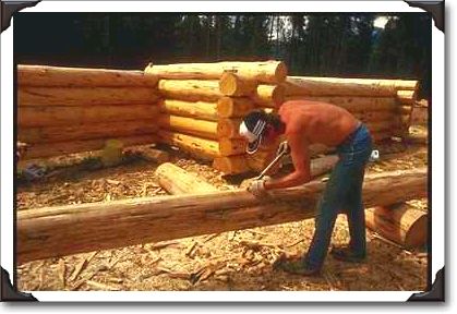 Building a log cabin, Yukon