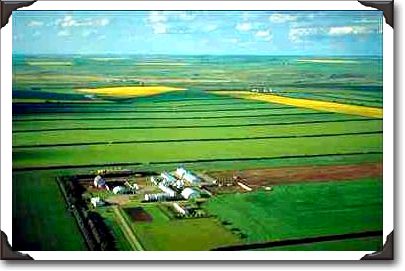 Farm, east of Acme, Alberta