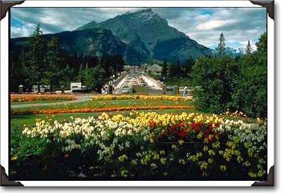 Flowers, Banff Avenue, Banff, Alberta