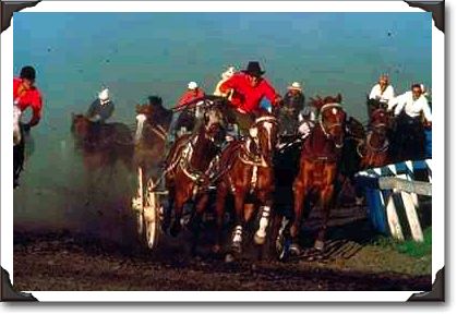 Chuckwagon race, High River, Alberta