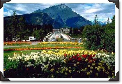 Flowers, Banff Avenue, Banff, Alberta