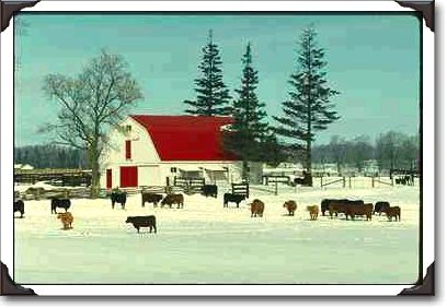 Farm scene, Milton, Ontario