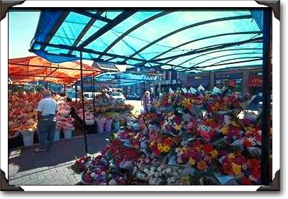 Flower stalls, Byward Market, Ottawa