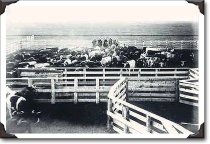 Ranch, 1904, photo Notman & Son c-8812