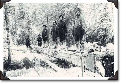 Booth lumber camp at Aylen Lake, Ontario, c.1895, c-75266