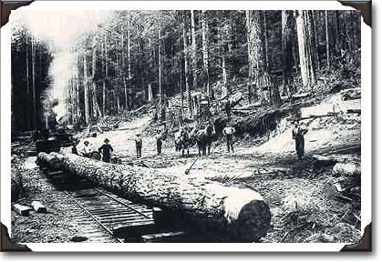 Loading logs on bush train, BC, photo W.J. Topley PA-11590