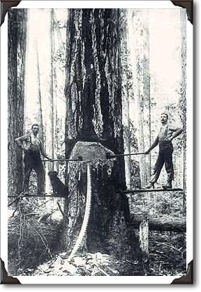 Felling timber in BC, photo W.J. Topley PA-11629
