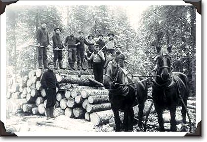 Getting ready to haul logs, photo W.J. Topley PA-12909