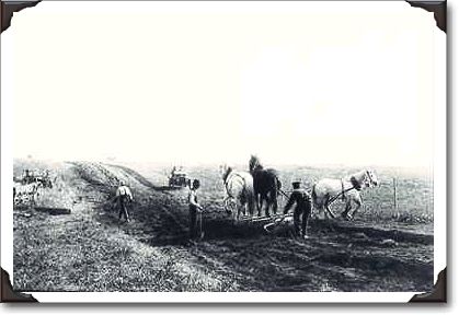 Road-building, Doukhobor community, Sask., 1918, PA-22237