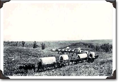 Boundary Commission, ox train, Man., 1873, PA-74679