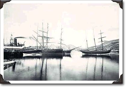 Harbor, St. John's, Newfoundland, 1877-1885, PA-165350