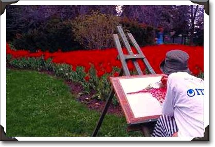 Tulip artist, Rideau Canal, Ottawa