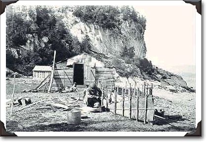 Montagnais, Quebec, c.1863; photo A. Henderson c-16427