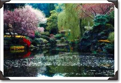 Japanese garden, University of British Columbia