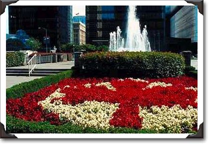 Red and white maple leaf display, Vancouver