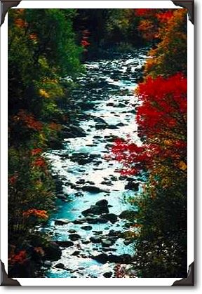 Shogamog River from bridge, York County, New Brunswick
