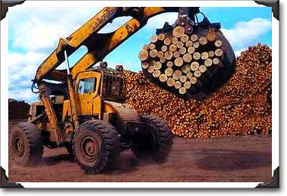 Logs, sawmill operations, northwestern Ontario