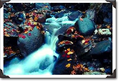 Waterfall in autumn, near Capelton, Estrie, Quebec