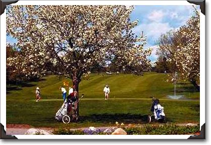 18th green, Hylands Golf Course, Ottawa, Ontario