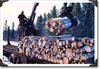 Loading pulpwood at Caribou, Nova Scotia