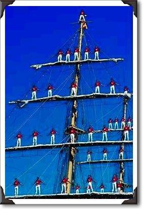Tall ships, Halifax, Nova Scotia