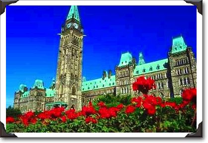 Geranium beds in full bloom on Parliament Hill, Ottawa, Ontario