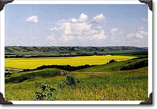 Take #56 Highway north of Indian Head and you reach the Beautiful Qu'Appelle Valley,and a field of Canola; as the highway begins  it's decent into the valley this is where this photo was taken.