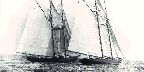 International schooner race, Halifax, Nova Scotia, 1922, PA41960