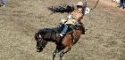 Calgary Stampede Rodeo, Saddle Bronc Trevor Millions/Lensdude.com