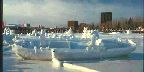 Ice sculptures on Dow's Lake, Ottawa, Ontario