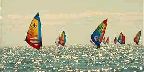 Ontario Windsurfing Championships