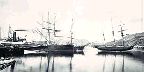 Harbor, St. John's, Newfoundland, 1877-1885, PA-165350
