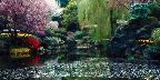 Japanese garden, University of British Columbia