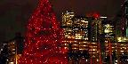 Harborfront Christmas tree, Toronto, Ontario