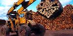 Logs, sawmill operations, northwestern Ontario
