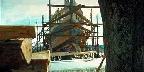 Wooden trawler being built at Dayspring, Nova Scotia