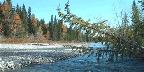 This is the Sheep River a few kilometers west of Bragg Creek. The Sheep River ...