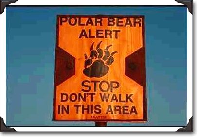 Polar Bear safety sign, Churchill, Manitoba